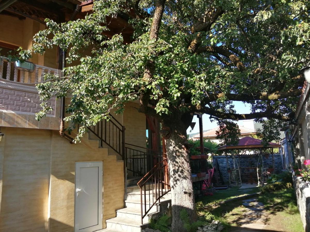 Dariya Guest House Сапарева-Баня Экстерьер фото
