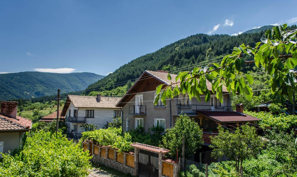 Dariya Guest House Сапарева-Баня Экстерьер фото