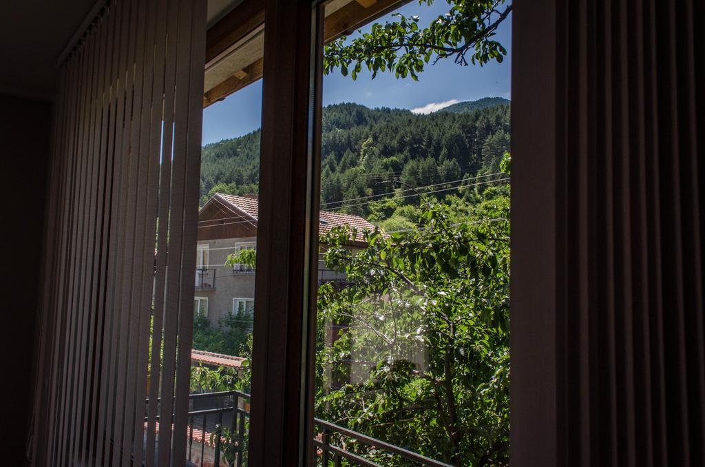 Dariya Guest House Сапарева-Баня Номер фото